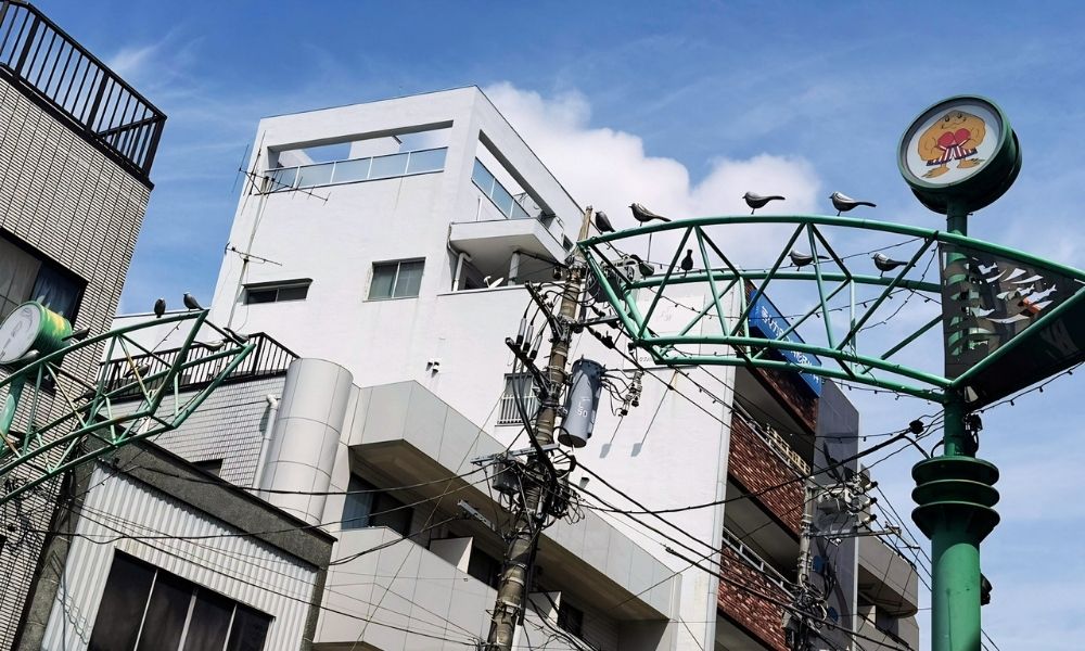 等々力渓谷商店街振興組合